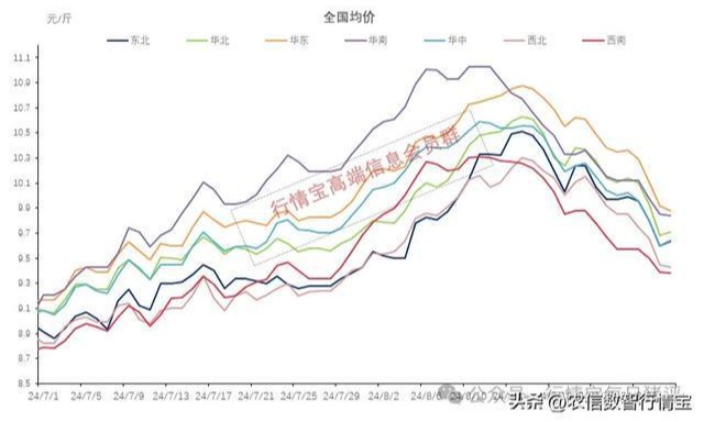 涨起来了！猪价即将重回巅峰？附明日8.30全国猪价