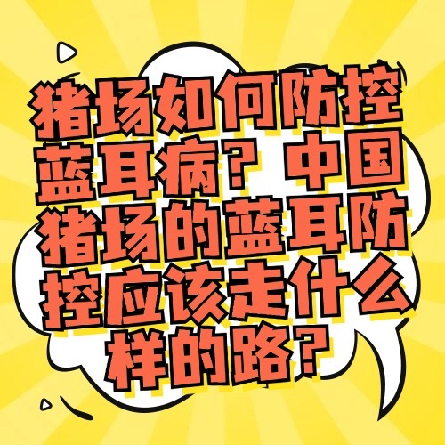 猪场如何防控蓝耳病？中国猪场的蓝耳防控应该走什么样的路？