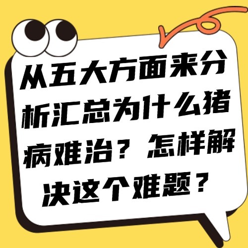 从五大方面来分析汇总为什么猪病难治？怎样解决这个难题？
