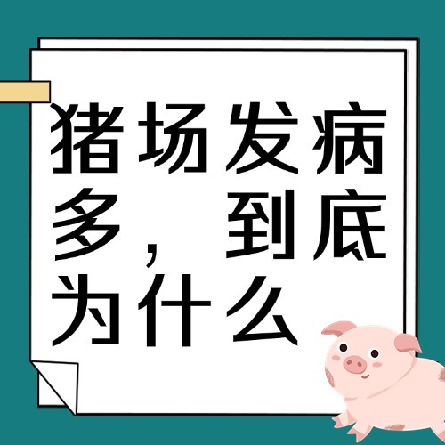 猪场发病多，到底为什么