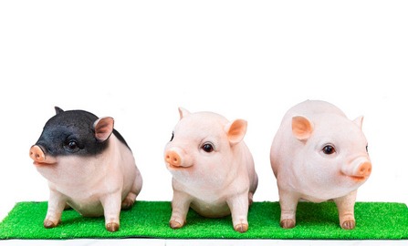 猪价有变！【明天猪价】9月13日全国猪价涨跌表！