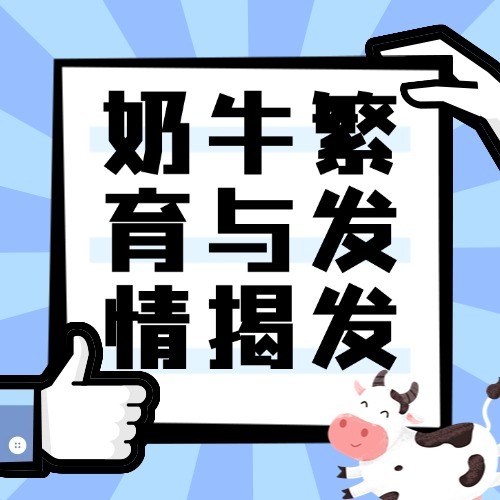 奶牛繁育与发情揭发
