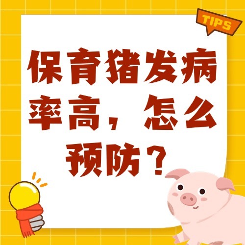 保育猪发病率高，怎么预防？