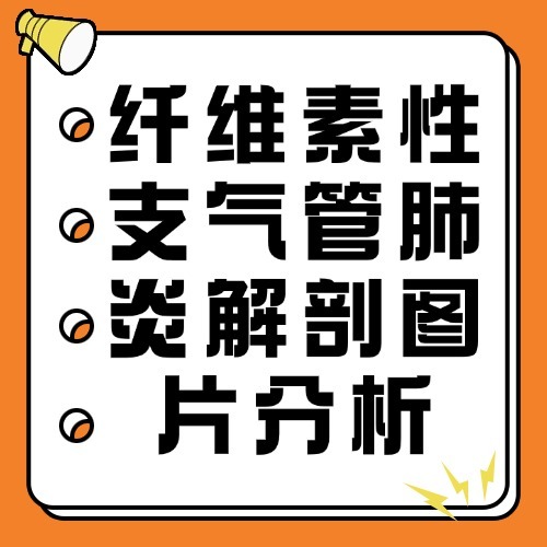 纤维素性支气管肺炎解剖图片分析