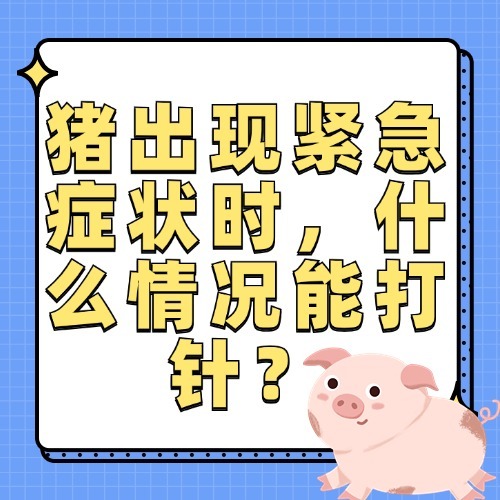 猪出现紧急症状时，什么情况能打针？