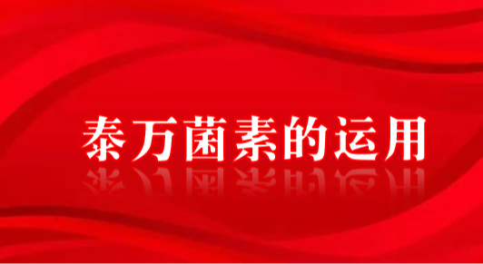 泰万菌素在养猪生产中的运用技术