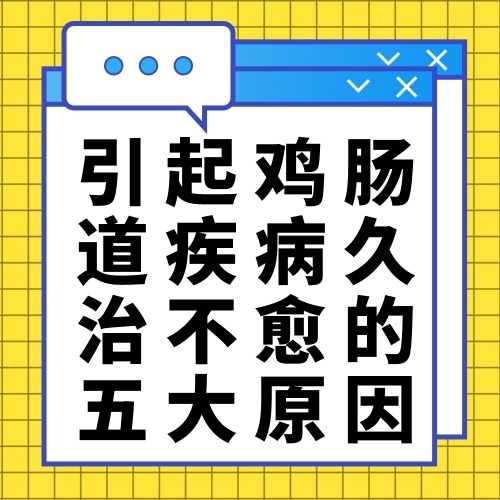 引起鸡肠道疾病久治不愈的五大原因