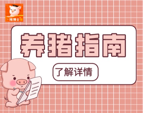 新玉米能喂猪吗？如何减少新玉米对猪的危害？