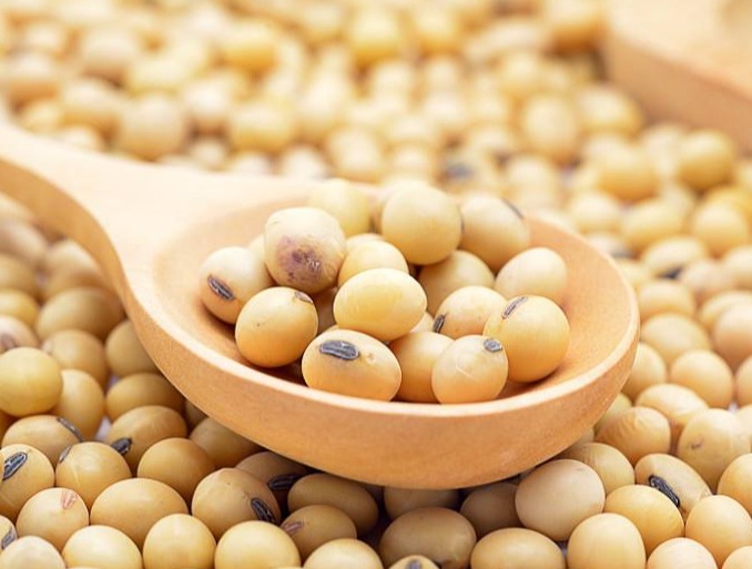 农产品 | 豆粕：美豆稍有提振 但整体仍缺乏明显驱动