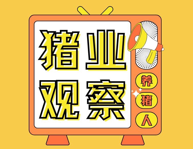 9月猪价“一地猪毛”！什么原因导致的？后期会不会涨？