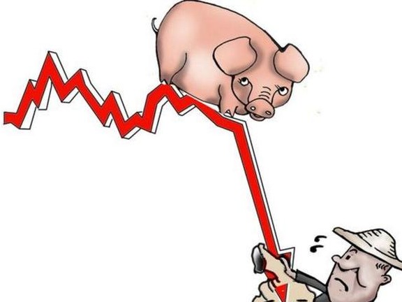 跌不停，猪价下跌“六亲不认”！附：9月23日猪价