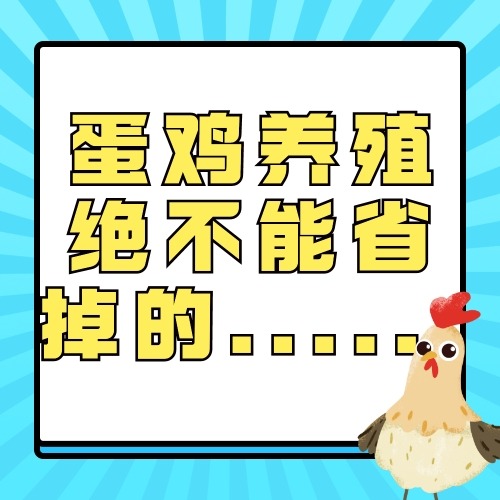 蛋鸡养殖绝不能省掉的......