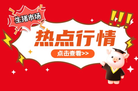 4036万头！8月能繁母猪结束3连涨，利好2025年猪价？