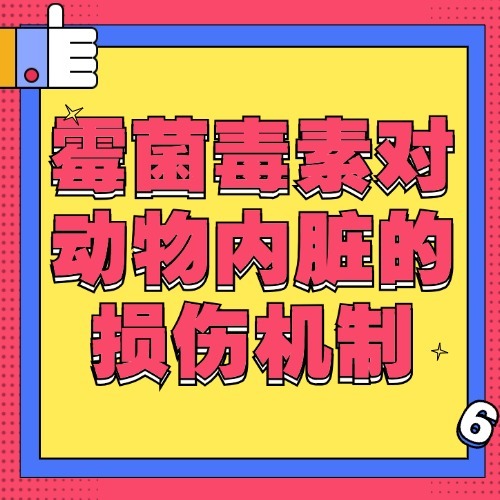 霉菌毒素对动物内脏的损伤机制