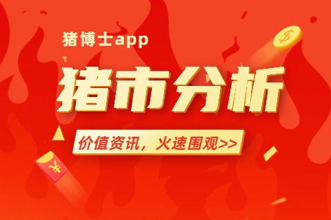 中国农民丰收节丨8月出栏一头生猪平均盈利606元，养殖实现扭亏为盈