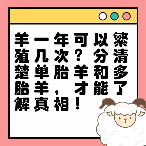 羊一年可以繁殖几次？分清楚单胎羊和多胎羊，才能了解真相！