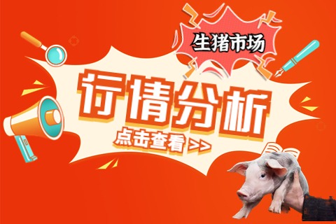 中秋过后猪价缘何 “一塌糊涂”？后市期待点又在何处？（第38周综述）