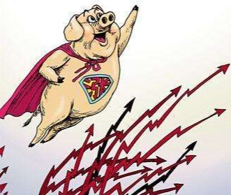 180°大拐弯，猪价上涨“势如破竹”！附：9月25日猪价