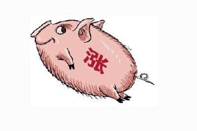 一夜“跳水”，猪价跌势“复燃”！附：9月27日猪价