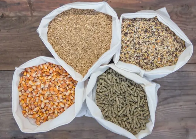 12种常用饲料原料的营养价值和饲用价值