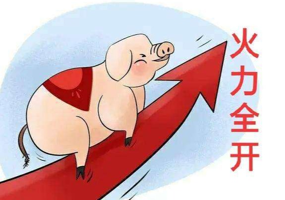 涨了，涨了，猪价上涨“势在必行”？附：24年9月29日猪价