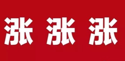 徽商期货携手大商所，共筑生猪养殖保障新篇章