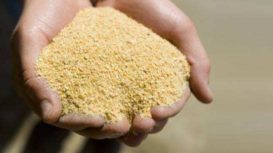 农产品 | 市场信心改善 玉米反弹