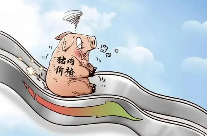 一夜“遇冷”，猪价下跌“六亲不认”！附：10月3日猪价