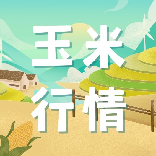 后市玉米价格怎么走？官方发声：后期利好因素较多，行情有望企稳