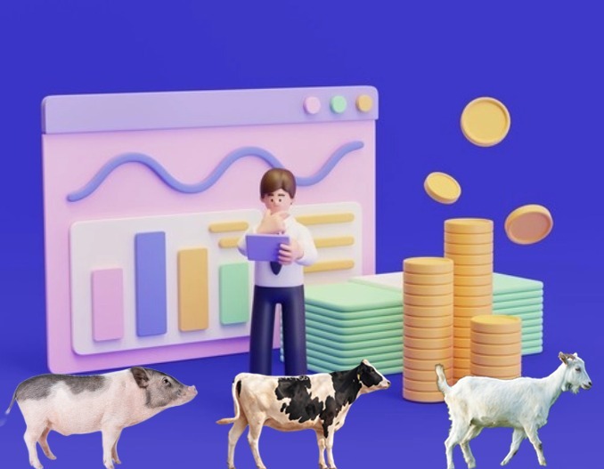 生猪：政策影响有限，四季度猪价走势待定