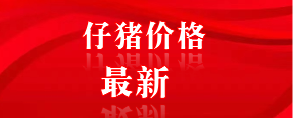 10月08日全国各省市10公斤仔猪价格行情报价