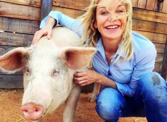 满堂红！29省全线飘红！二育火爆，“缺猪”已成定局！