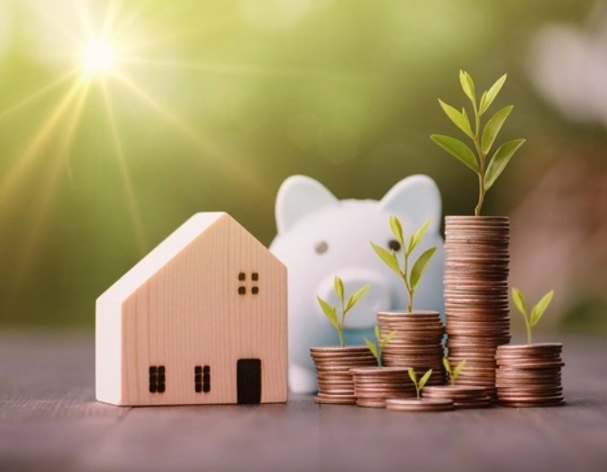 一夜“跳涨”，猪价涨得“热火朝天”【今日行情】