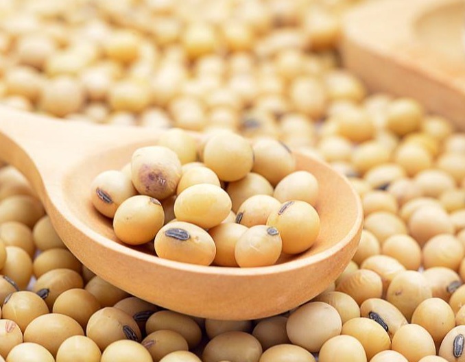 豆粕油脂生猪等：财经动态与操作策略