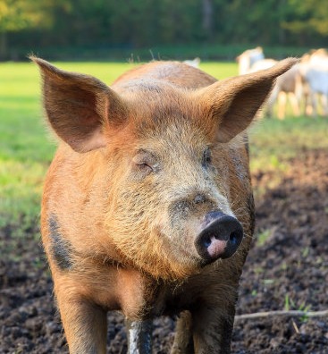 精选 | 早盘收盘要闻汇总 10月10日 周四