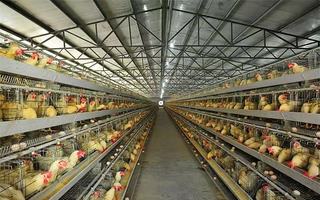 蛋鸡场选址——环境与交通