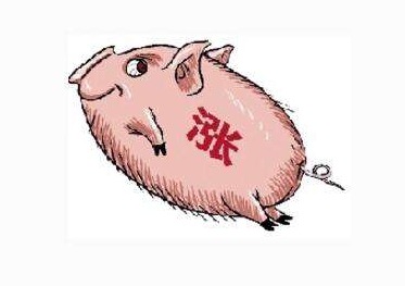 一夜“猛涨”，猪价“破8入9”！盛极而衰？附：10月11日猪价