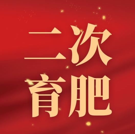 广东禁止生猪二次育肥？核心是减少疫病传播风险