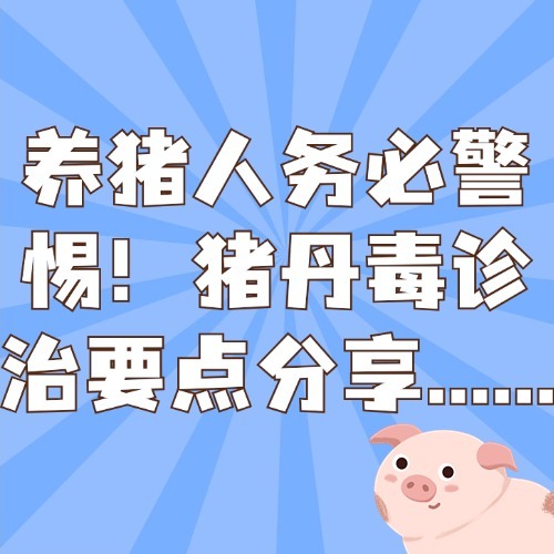 养猪人务必警惕！猪丹毒诊治要点分享......