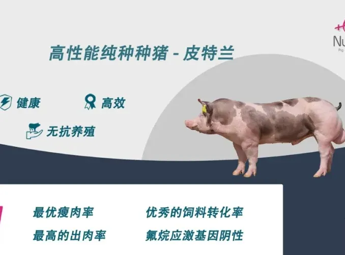 “科普利信”推荐阅读【主题策划】我国生猪产业未来发展趋势分析