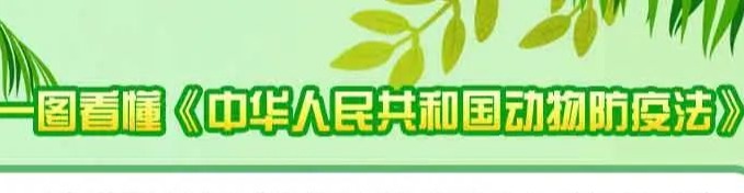一图看懂《中华人民共和国动物防疫法》