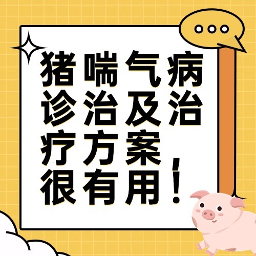 猪喘气病诊治及治疗方案，很有用！