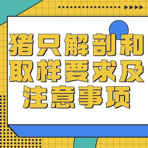 猪只解剖和取样要求及注意事项