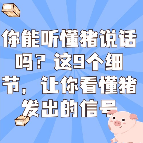 你能听懂猪说话吗？这9个细节，让你看懂猪发出的信号