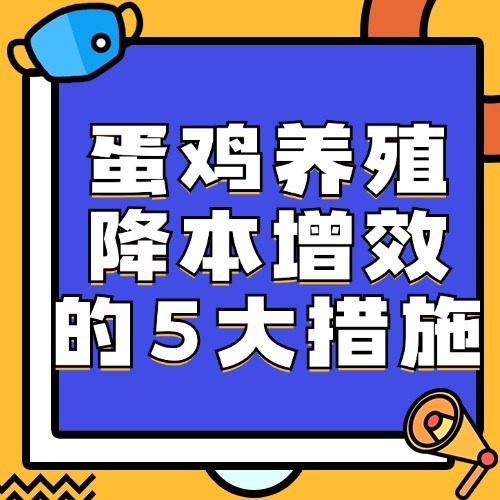 蛋鸡养殖降本增效的5大措施