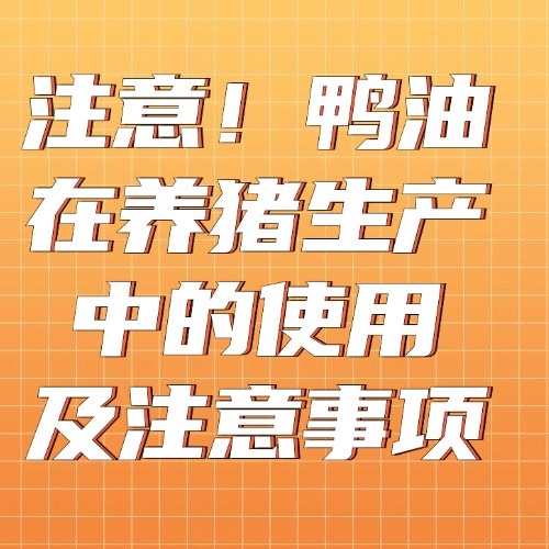 注意！鸭油在养猪生产中的使用及注意事项