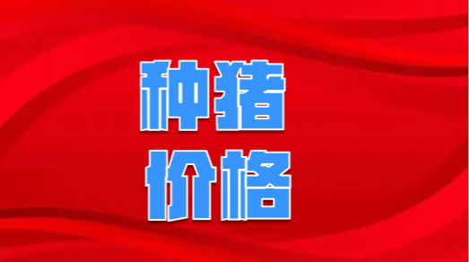 2024年10月21日全国种猪价格报价表，三季度末能繁母猪存栏同比下降4.2%，市场还看好后市吗？