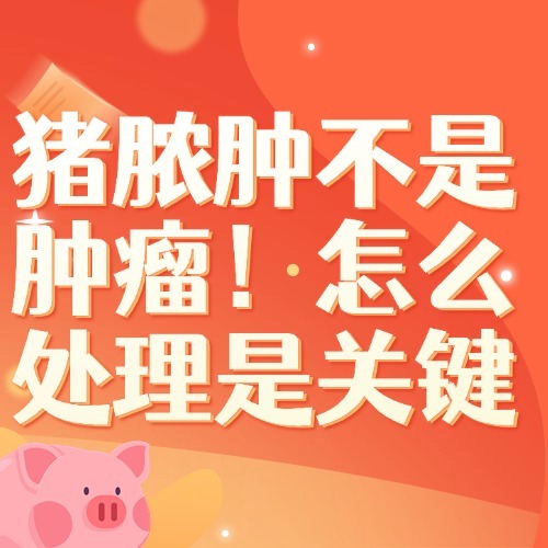 猪脓肿不是肿瘤！怎么处理是关键