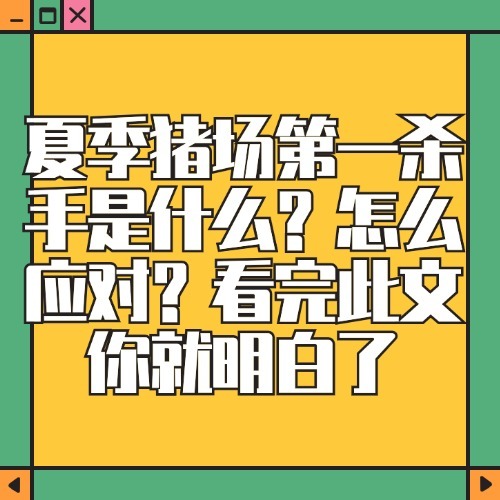 夏季猪场第一杀手是什么？怎么应对？看完此文你就明白了