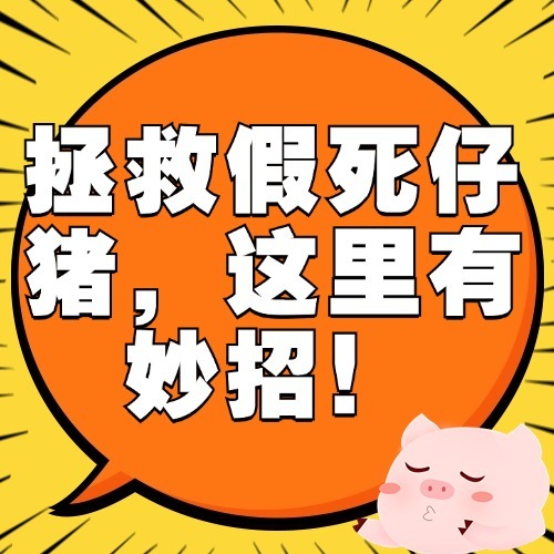 拯救假死仔猪，这里有妙招！